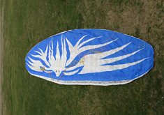 Купить параплан WoC Nemesis L (100-125)