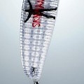 Купить параплан Skyman Heartbeat, НОВЫЙ
